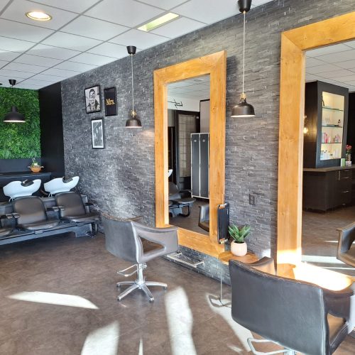 IMG-20250201-WA0012 IMG-20250201-WA0012